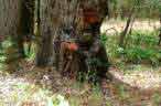 Blend into the background and lay an ambush